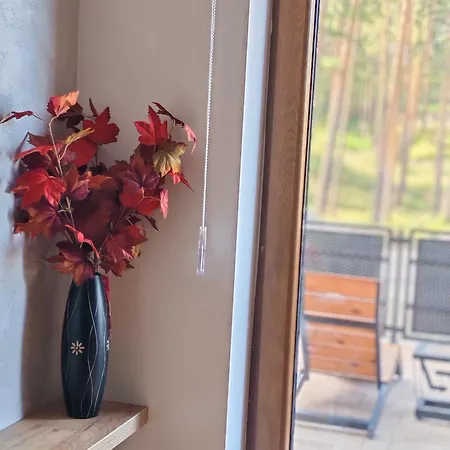 Merci * 兹拉蒂博尔