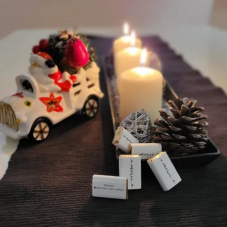 公寓 Merci 兹拉蒂博尔