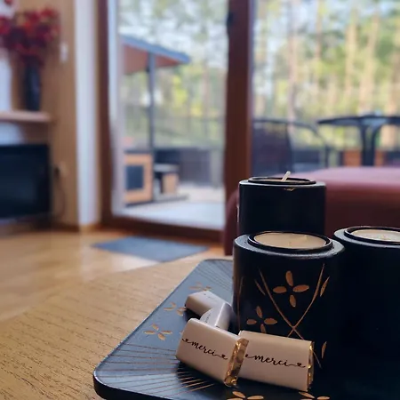 Merci 公寓 兹拉蒂博尔