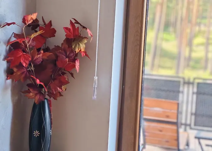 Merci * ズラティボール