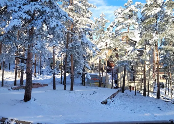 Merci * ズラティボール